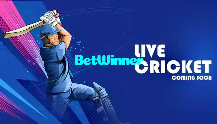 BetWinner